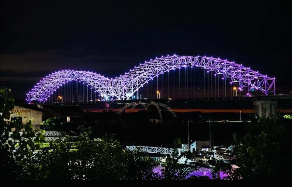 Tiger'S Place Near U Of M เมมฟิส ภายนอก รูปภาพ